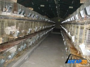 Ангары для сельскохозяйственной промышленности в Луганской области, ГК "Ангар 36"